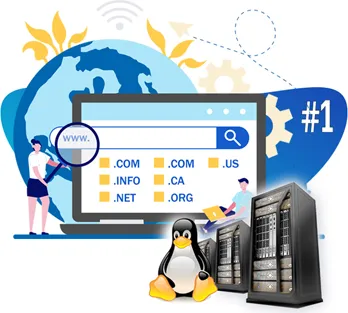 Web Development Services Ahmedabad, Surat, Gujarat, Mumbai India