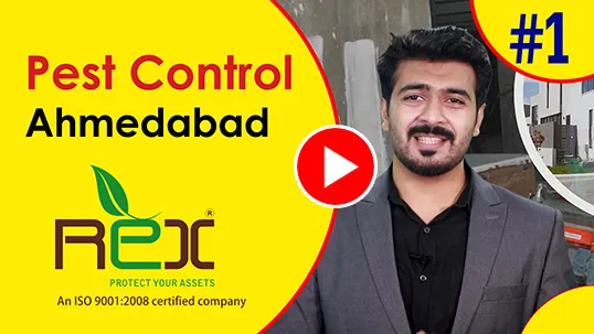 Video Production Studio in Ahmedabad